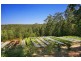 123 Killawarra Road, Lake Macdonald QLD 4563