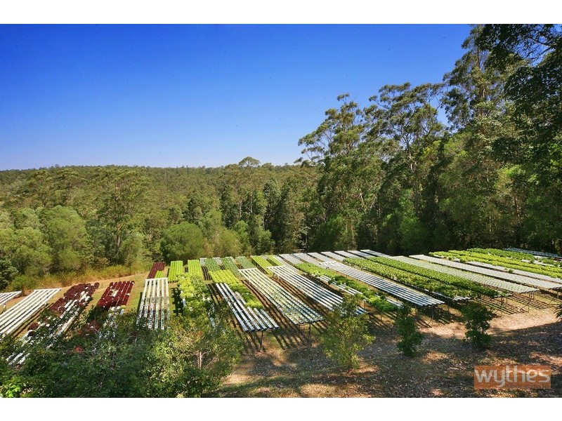 123 Killawarra Road, Lake Macdonald QLD 4563