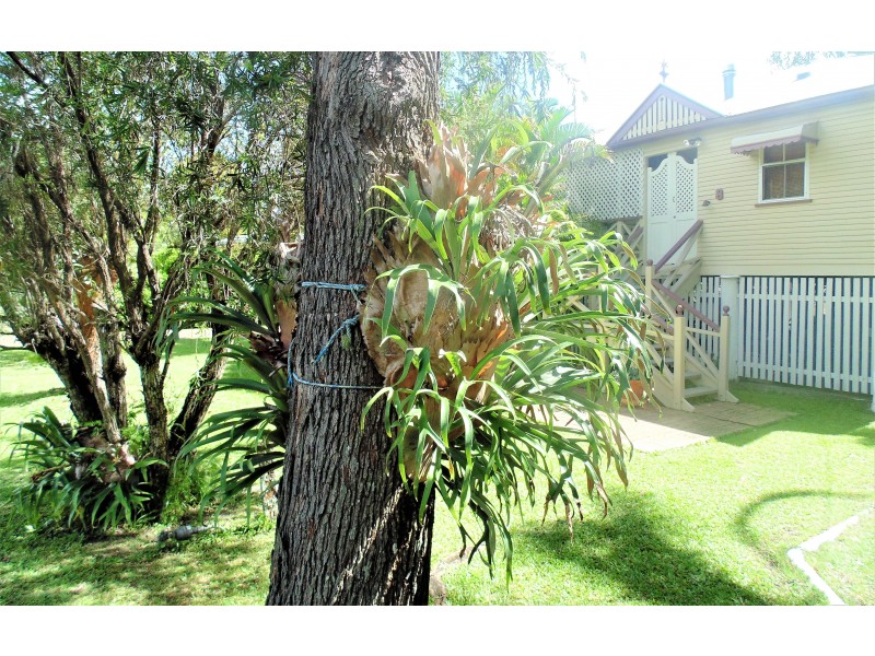 8 School Road, Yandina QLD 4561