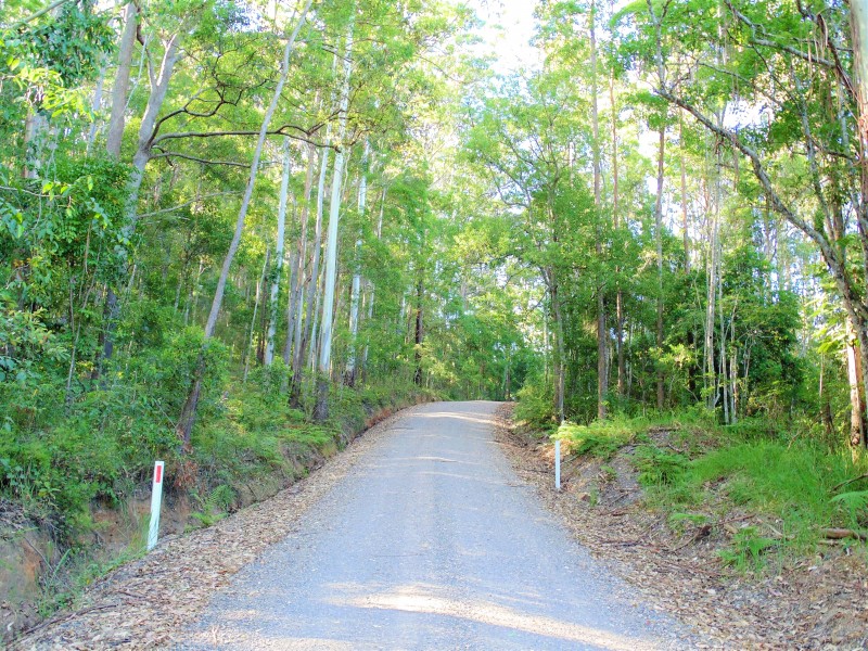 187 Burtons Road, Bridges QLD 4561