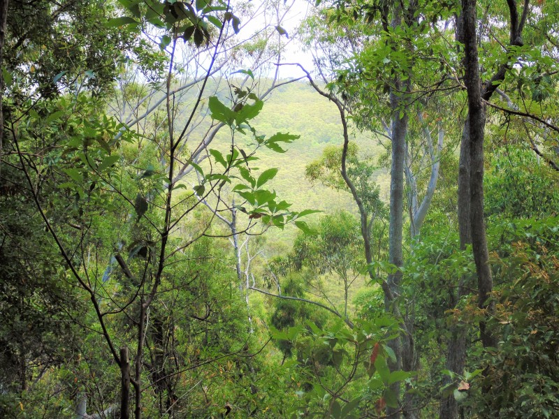 187 Burtons Road, Bridges QLD 4561