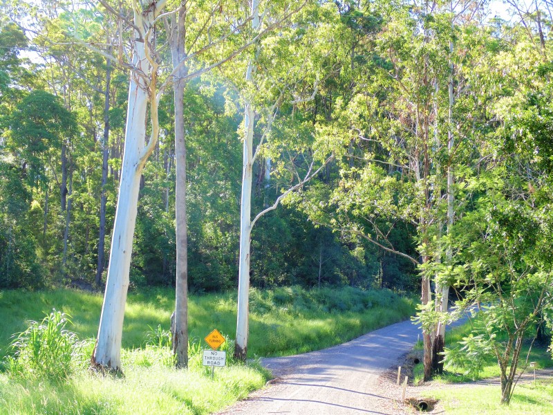 187 Burtons Road, Bridges QLD 4561