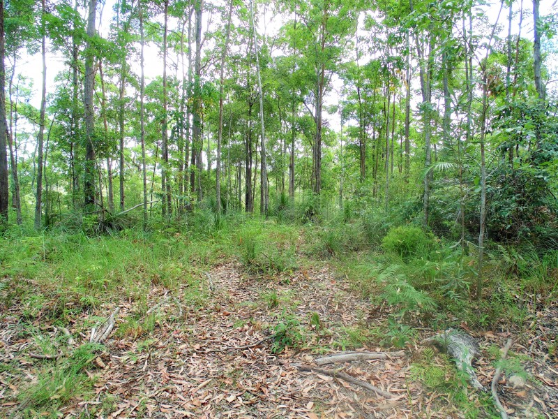 187 Burtons Road, Bridges QLD 4561