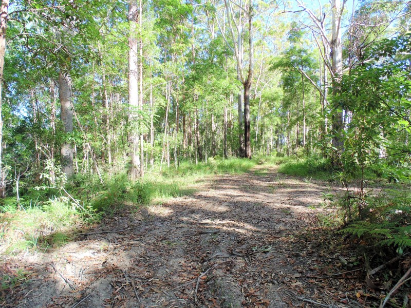 187 Burtons Road, Bridges QLD 4561