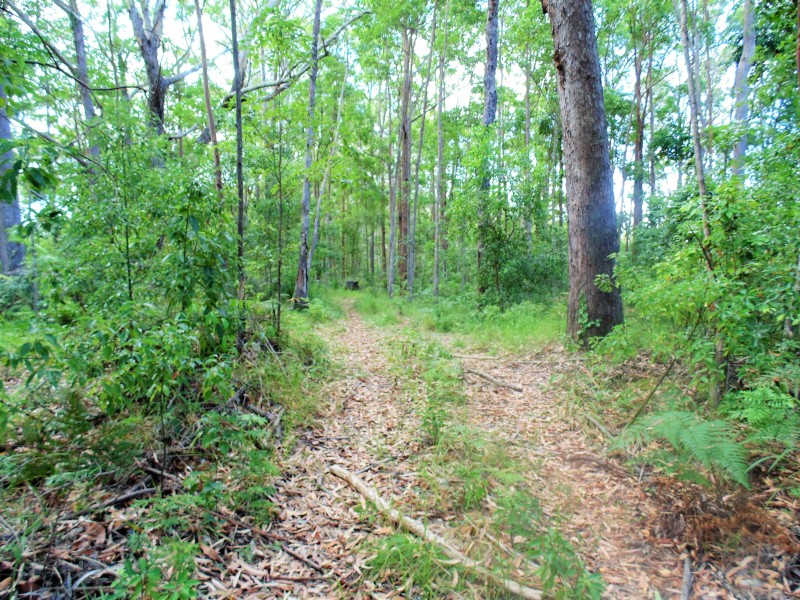 187 Burtons Road, Bridges QLD 4561