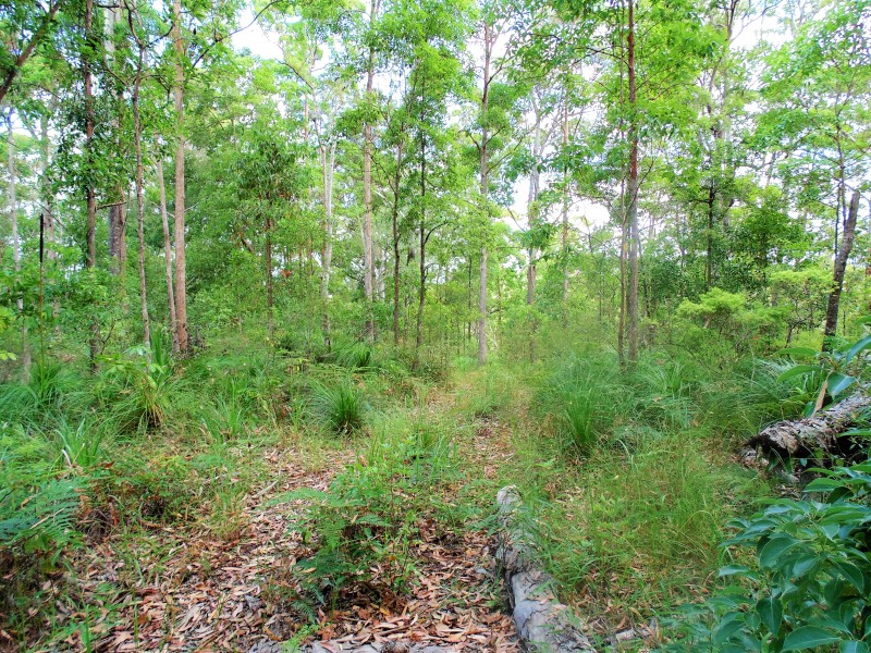 187 Burtons Road, Bridges QLD 4561