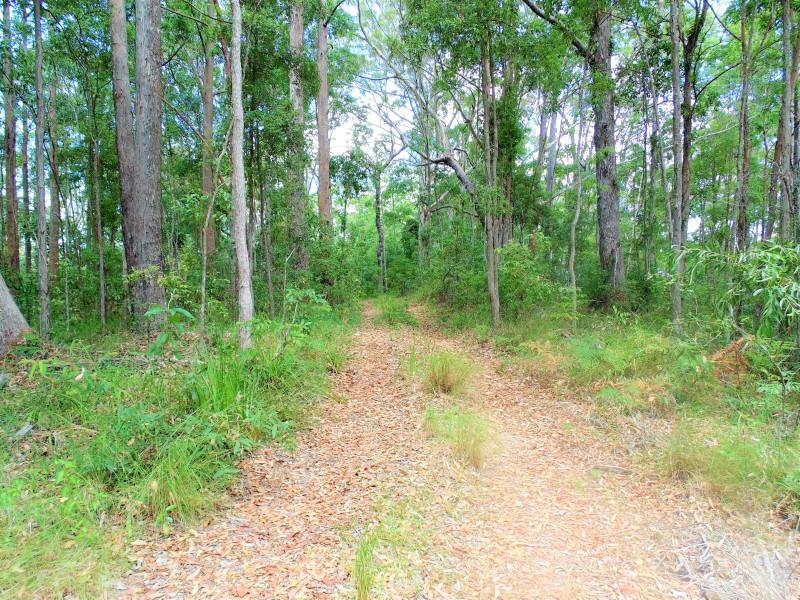 187 Burtons Road, Bridges QLD 4561