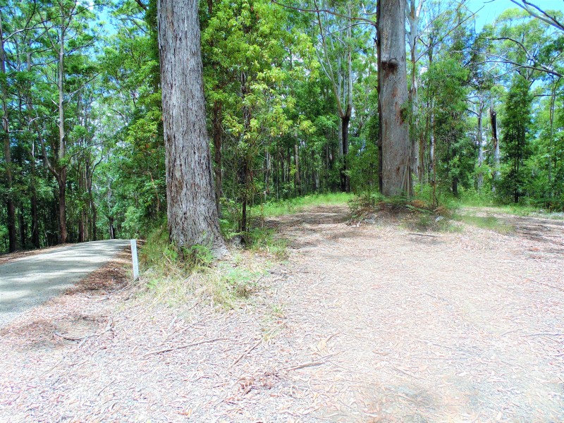 187 Burtons Road, Bridges QLD 4561