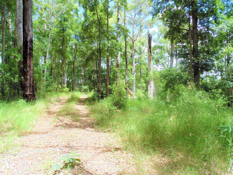 187 Burtons Road, Bridges QLD 4561