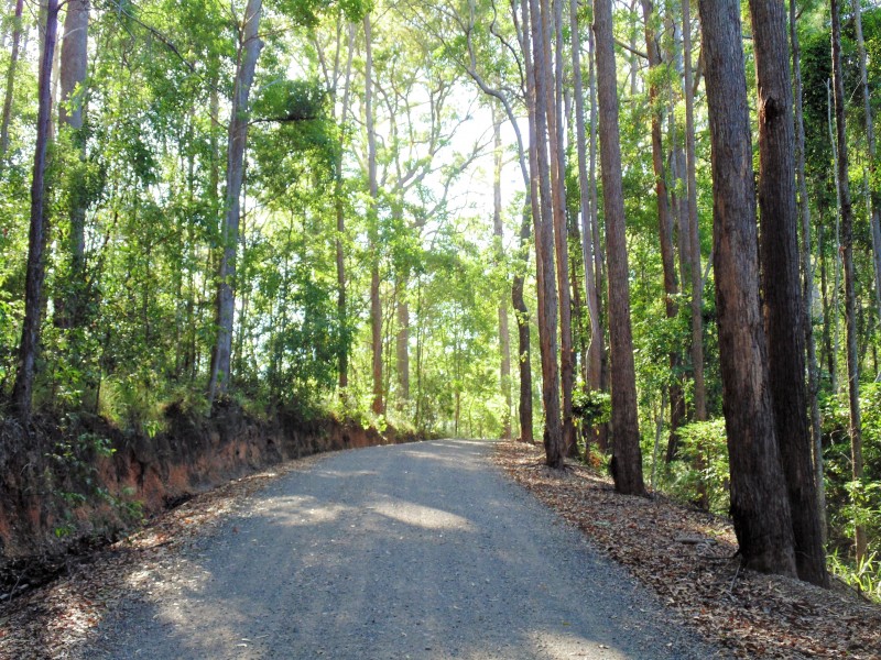 187 Burtons Road, Bridges QLD 4561