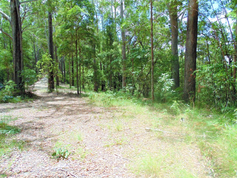 187 Burtons Road, Bridges QLD 4561