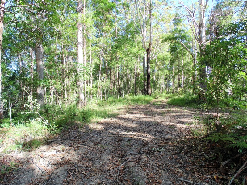 187 Burtons Road, Bridges QLD 4561