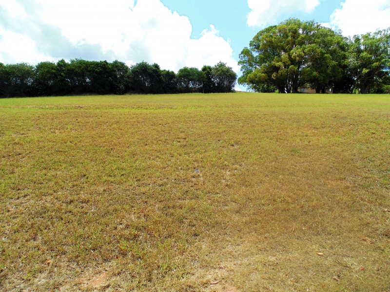 114 Haven Place, Yandina QLD 4561