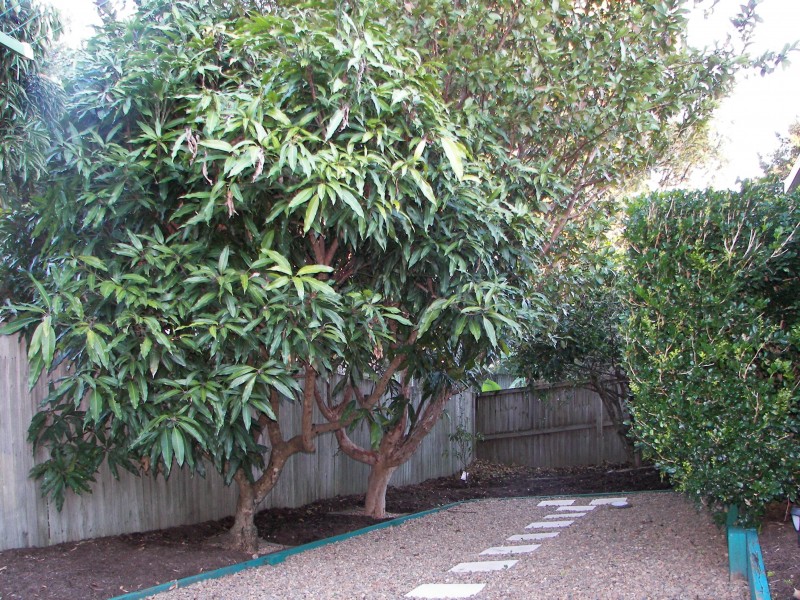 13 Haven Place, Yandina QLD 4561