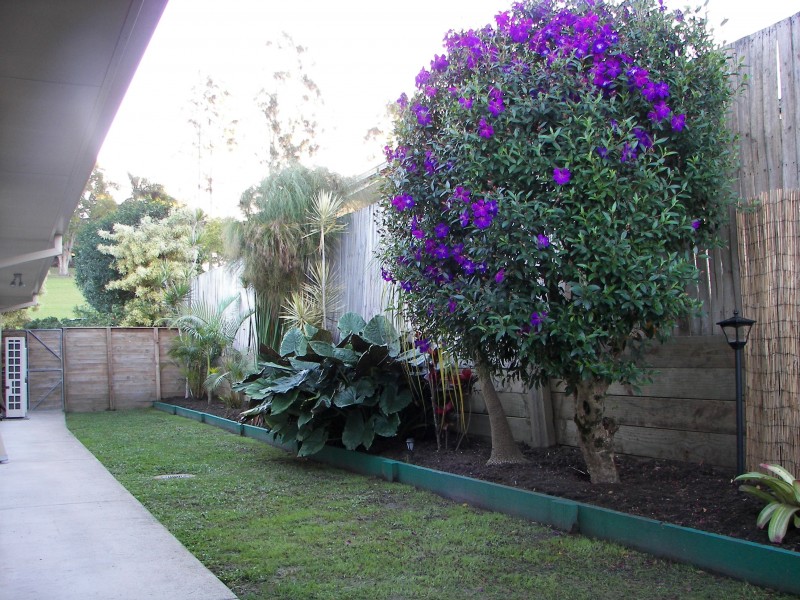 13 Haven Place, Yandina QLD 4561