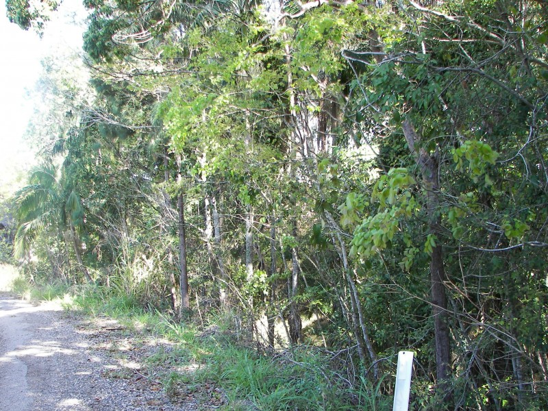 5 Bruce Highway, Bridges QLD 4561