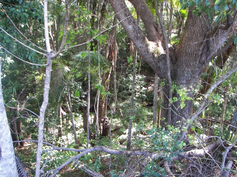 5 Bruce Highway, Bridges QLD 4561