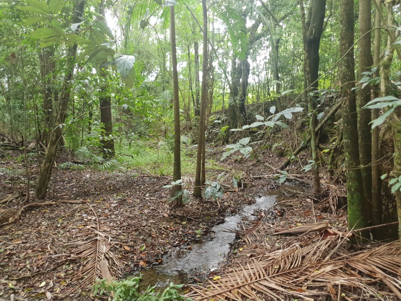 83 MAIN CAMP ROAD, Eerwah Vale QLD 4562