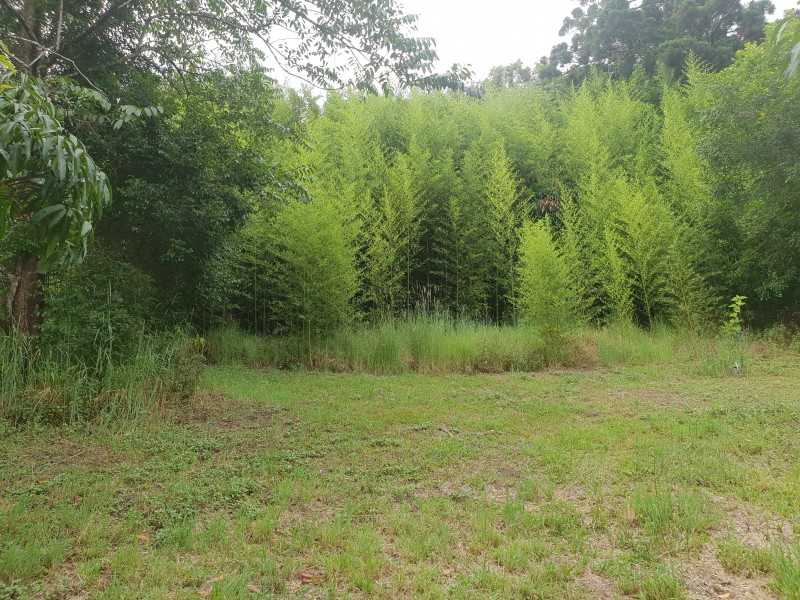 83 MAIN CAMP ROAD, Eerwah Vale QLD 4562