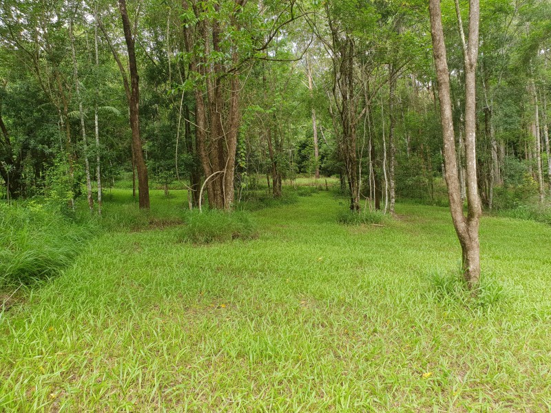 83 MAIN CAMP ROAD, Eerwah Vale QLD 4562