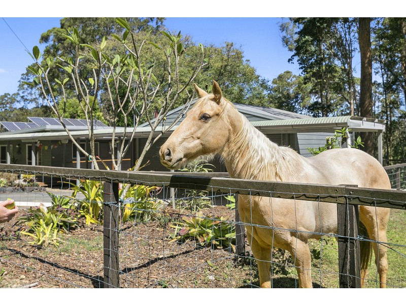 139 Browns Creek Road, Bridges QLD 4561