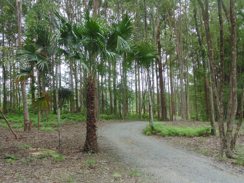 Yandina QLD 4561