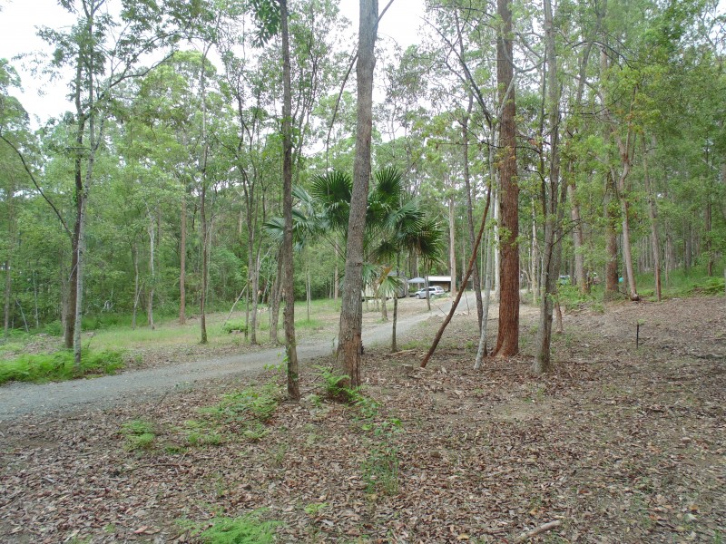 Yandina QLD 4561