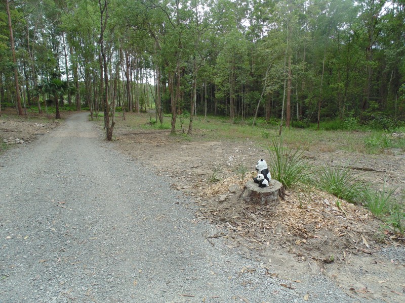Yandina QLD 4561