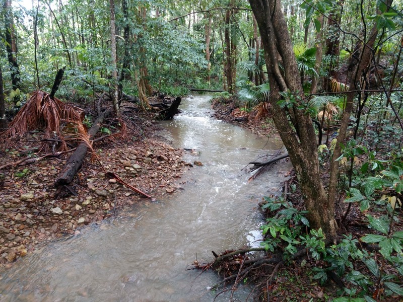 Yandina QLD 4561
