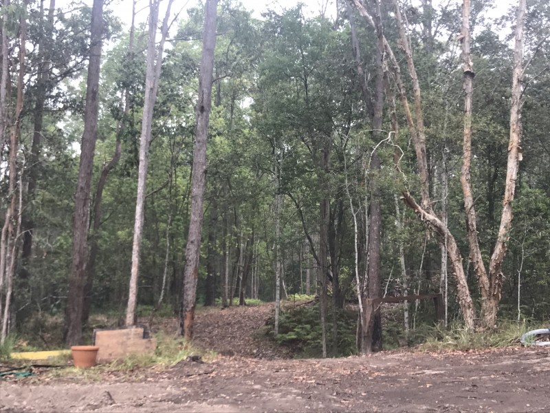 Yandina QLD 4561