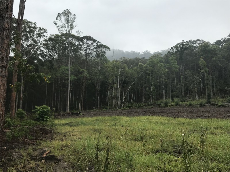 Yandina QLD 4561