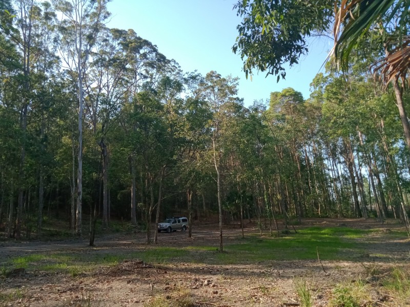 Yandina QLD 4561