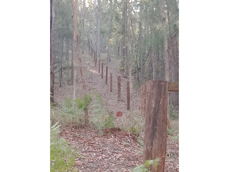 Yandina QLD 4561