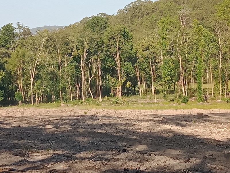 Yandina QLD 4561