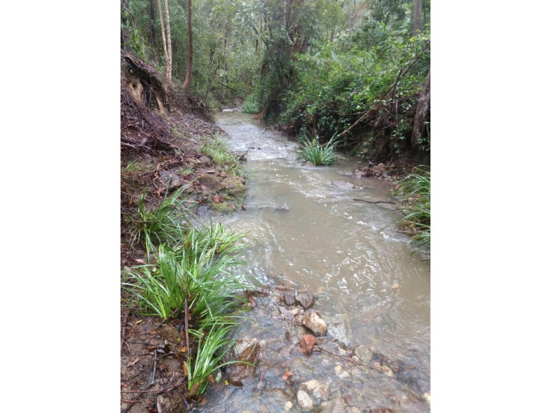 Yandina QLD 4561