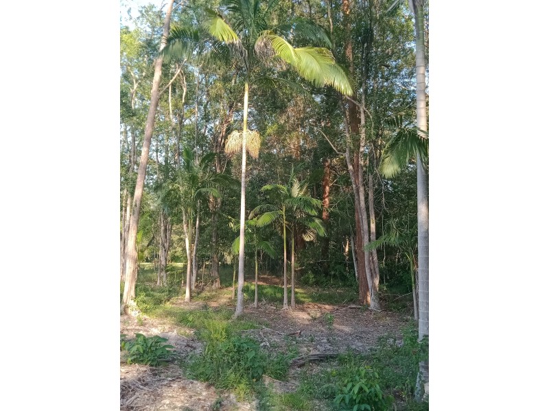 Yandina QLD 4561