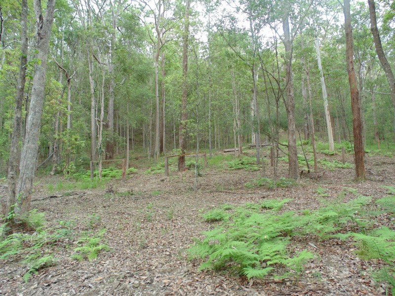 Yandina QLD 4561