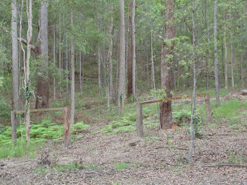 Yandina QLD 4561