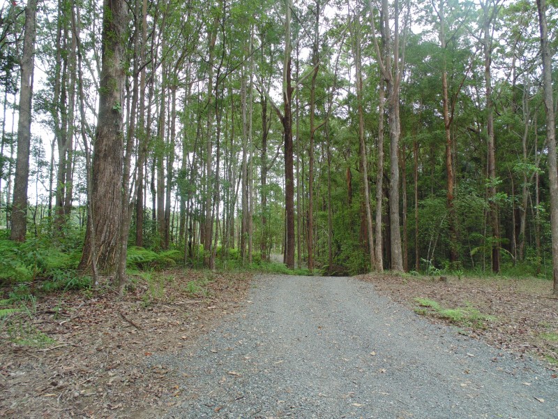 Yandina QLD 4561
