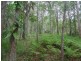Yandina QLD 4561
