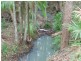 Yandina QLD 4561