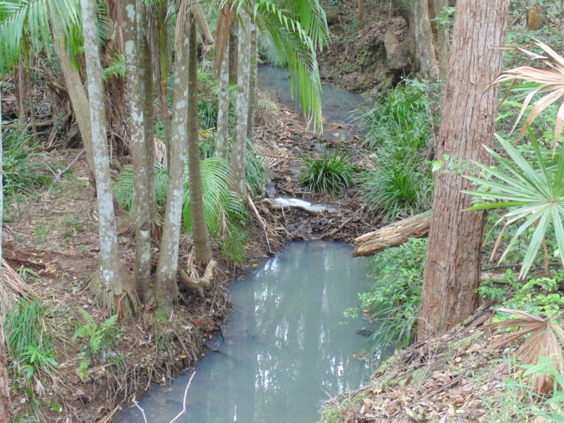 Yandina QLD 4561