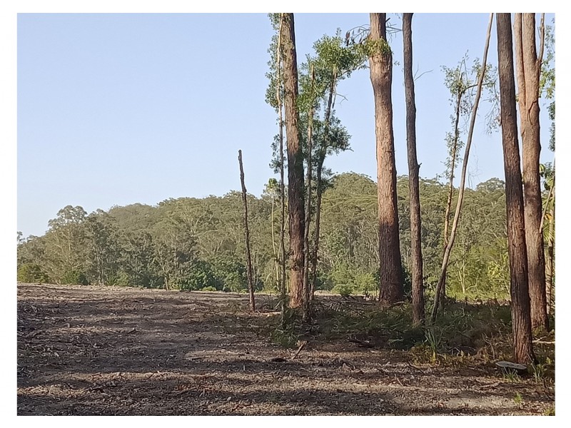 Yandina QLD 4561
