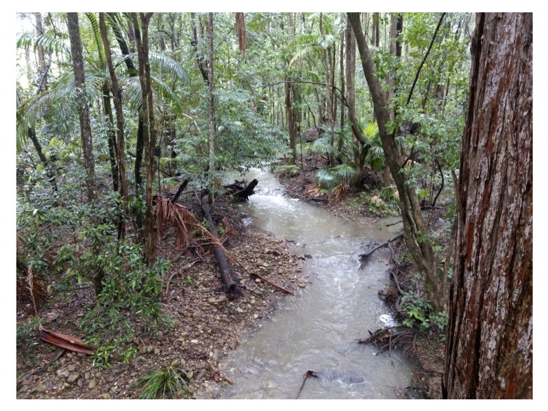 Yandina QLD 4561