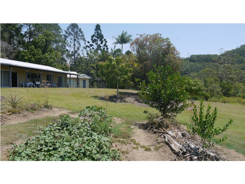 197 Gold Creek Road, North Arm QLD 4561