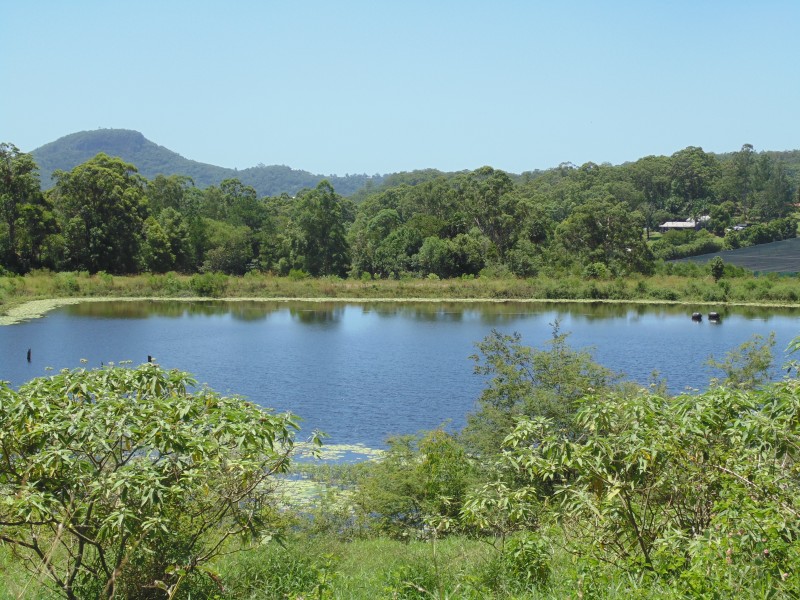 25 Upper Ferntree Creek Road, Kulangoor QLD 4560