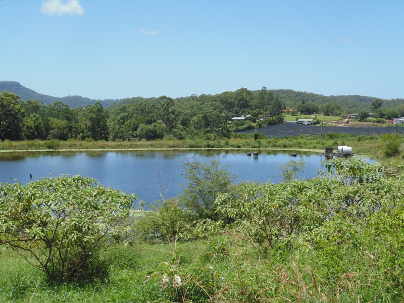 25 Upper Ferntree Creek Road, Kulangoor QLD 4560