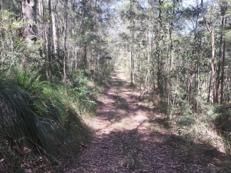 1121 Cooloolabin Road, Cooloolabin QLD 4560