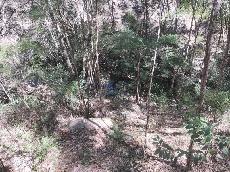 1121 Cooloolabin Road, Cooloolabin QLD 4560