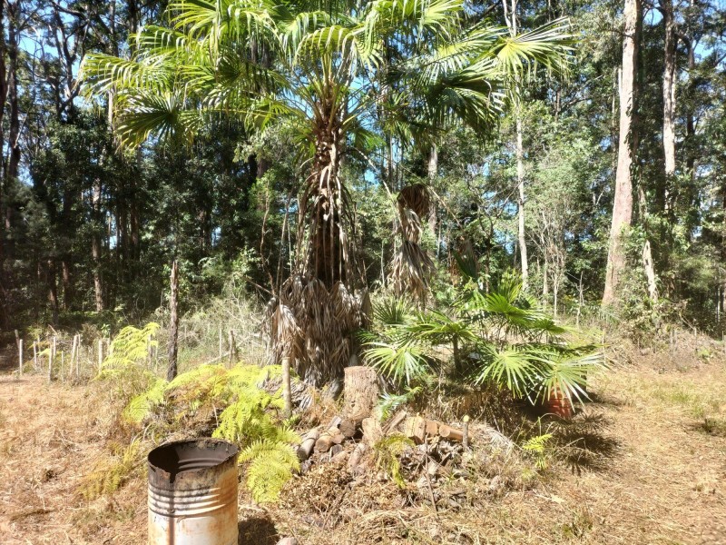 1121 Cooloolabin Road, Cooloolabin QLD 4560